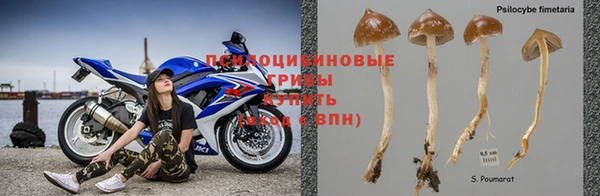 spice Валуйки