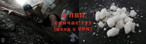 твердый Алексеевка