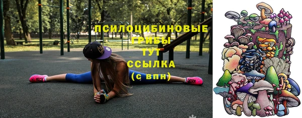твердый Алексеевка