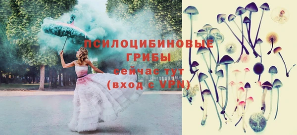 твердый Алексеевка