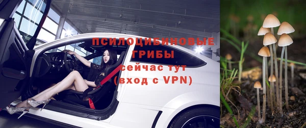 твердый Алексеевка