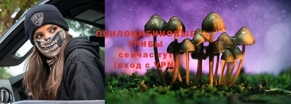 эйфоретик Алзамай